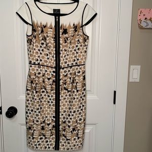 Adrianna Papell Special Occasion Dress